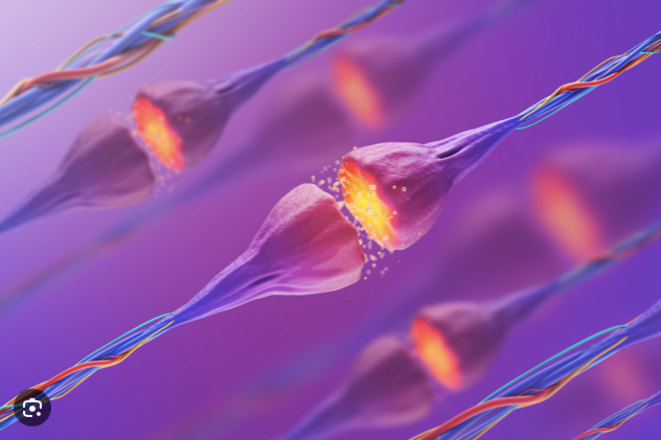 France & Cie : Au travail ...