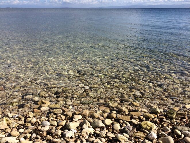 De la mer à la forêt : le naufrage à perpétuité