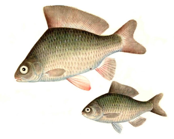 Histoires de pouvoirs