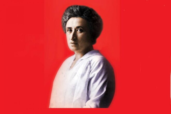 Rosa Luxemburg. Que voulons-nous ?