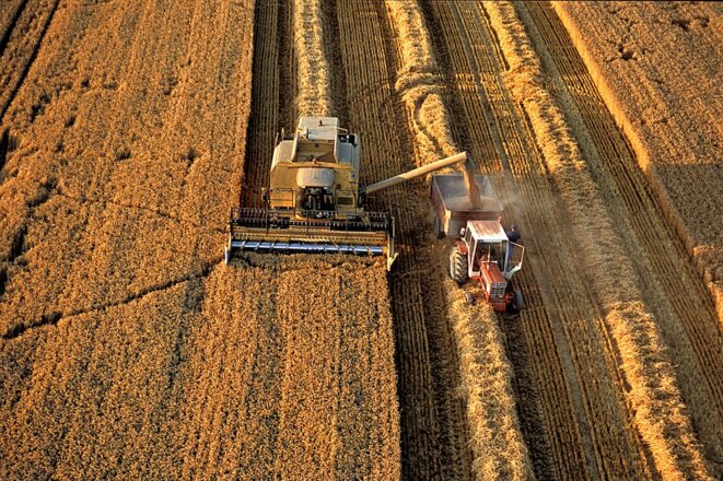 Les nouveaux OGM ont un autre nom et ne s’afficheront plus sur les emballages