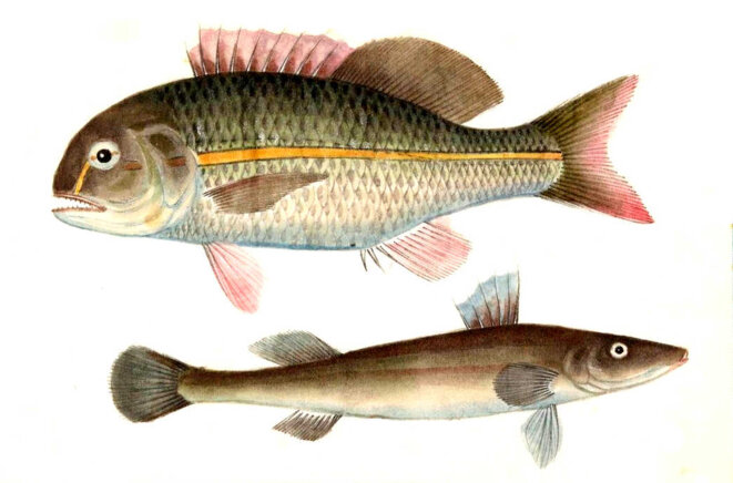 Qui me rejette, rejette celui qui m'a envoyé