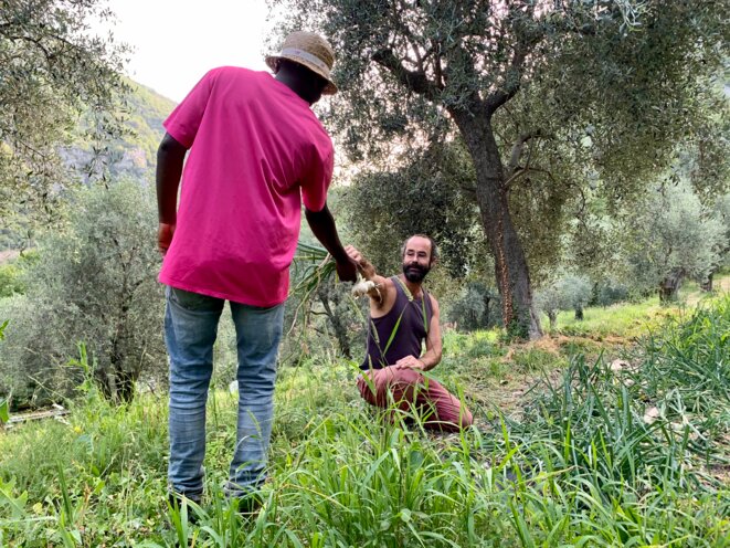 Dans les Alpes-Maritimes, un «Emmaüs Roya» qui conjugue agriculture et social