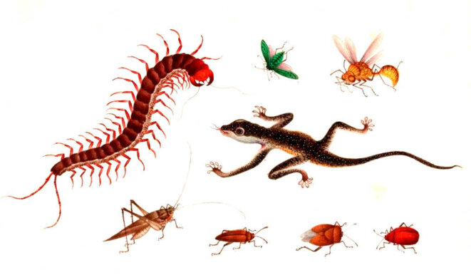 Qu'il est doux de ne rien faire...