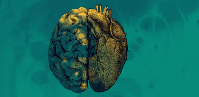 Les liens entre l'autisme et les malformations cardiaques