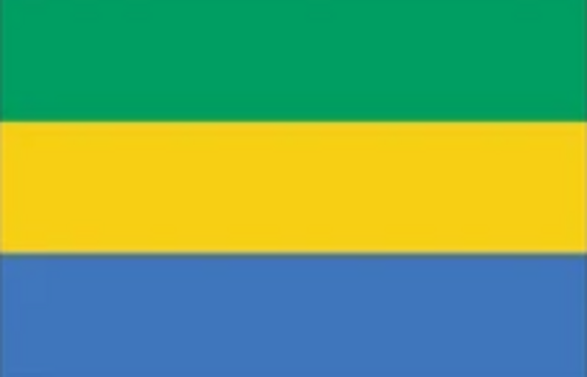 Elections du 26 août au Gabon : les dés sont pipés