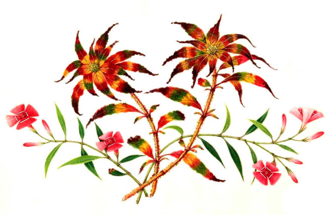 Du temps et des temps