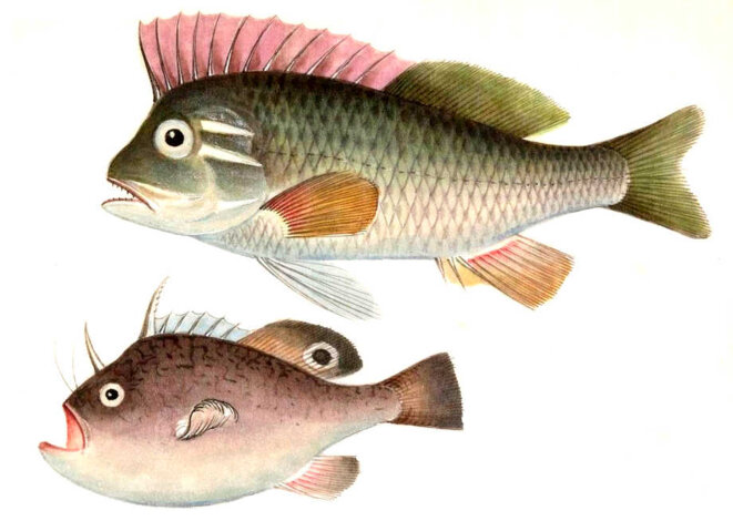 À la reddition des comptes