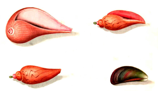 Méfie-toi de toi-même !