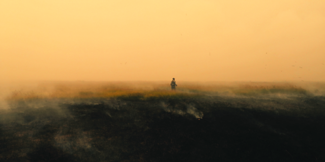 « Paradis », tandis que le feu progresse...