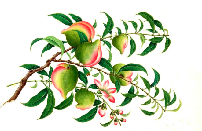 À qui a il sera donné