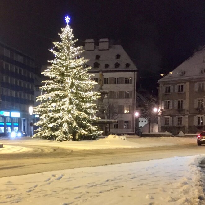 Malédiction du vert sapin ?