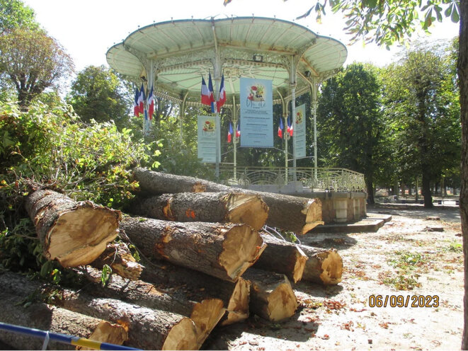 Vichy-capitale de la destruction massive d'arbres