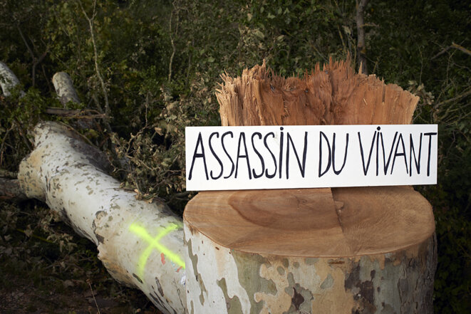 Les mots dits - soin