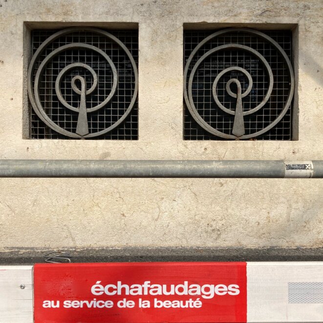 Malédiction du vert sapin ?