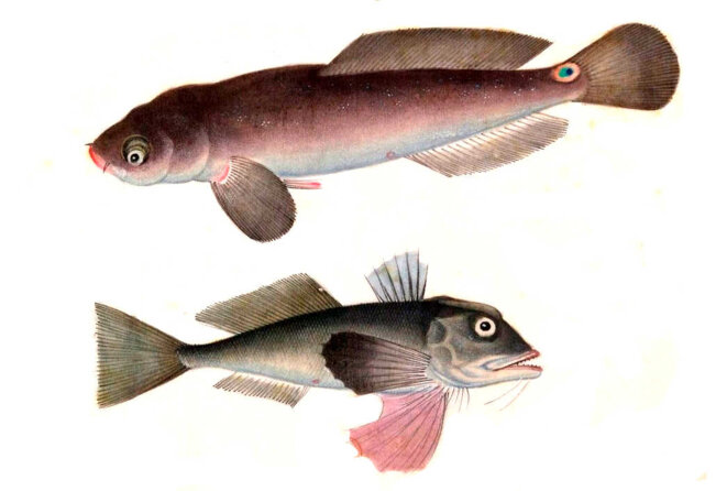 Faire le bien ou le mal