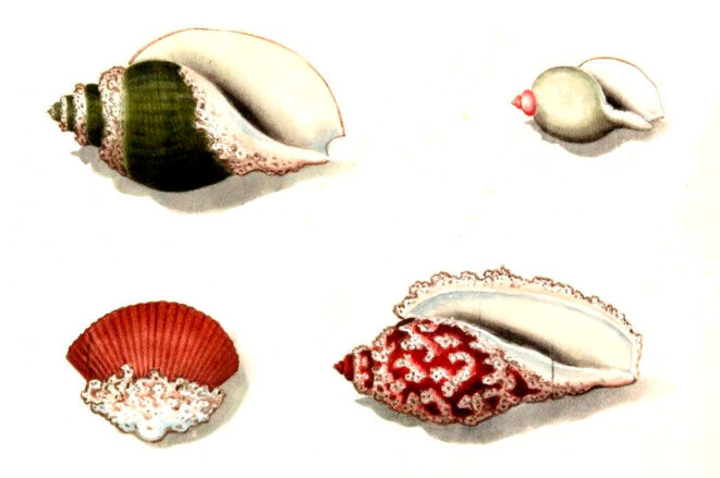 Quand l'enfant grandit