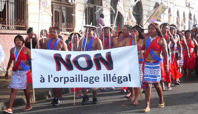 Guyane : six ONG attaquent l'Etat français en justice pour carence fautive