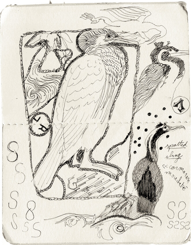 Automne - Octobre 23