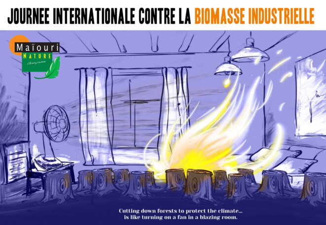 Journée contre la biomasse industrielle ! Alerte sur le scandale guyanais