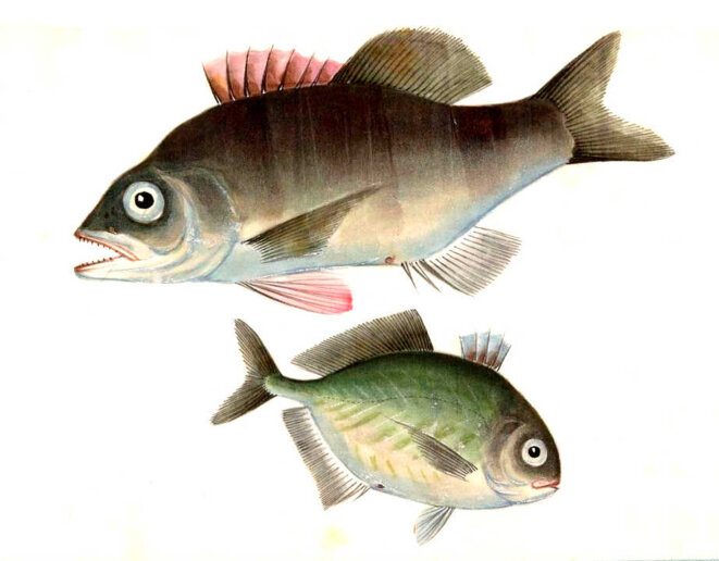 Travailler toujours travailler