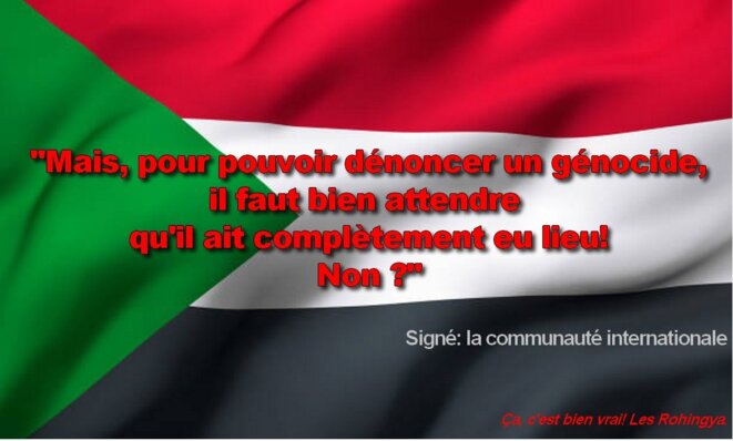 Génocide ou pas Génocide ? Laissez-moi le temps d’y réfléchir...