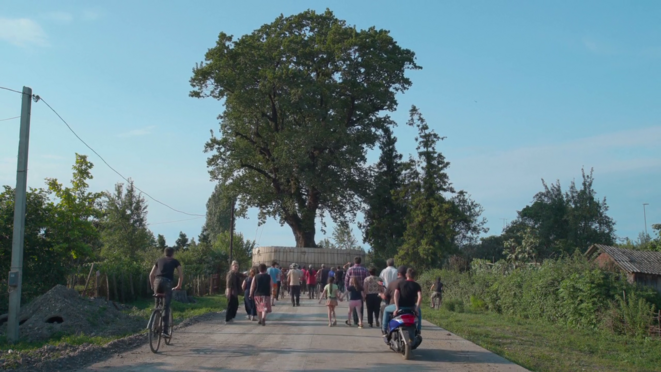 L’oligarque géorgien qui déracine les arbres pour les collectionner