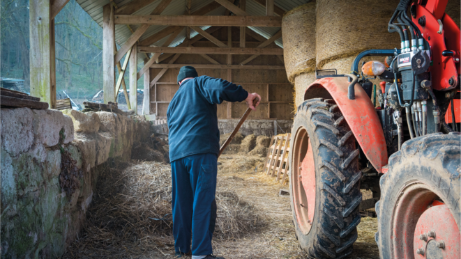 Placement à l’extérieur : une alternative à la peine