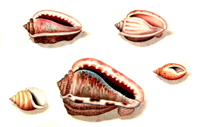 De quoi parliez-vous ?