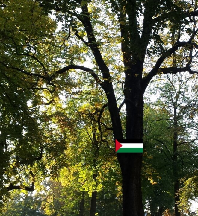 La politique criminelle d’Israël en Palestine nuit aussi aux Juifs