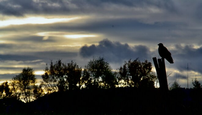 Et le ciel s'assombrit ...