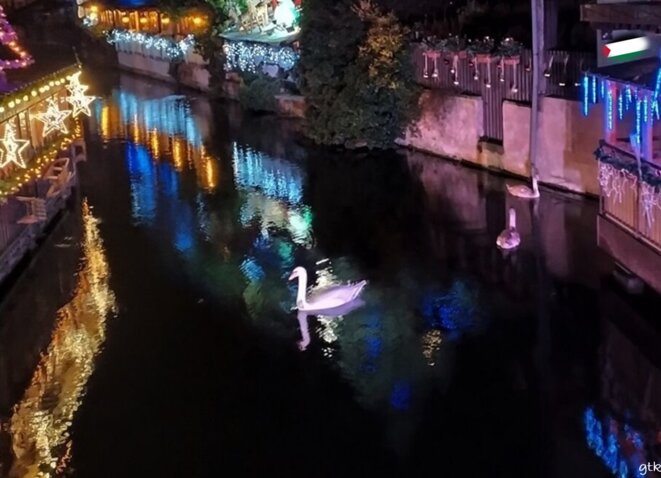 Des fêtes pas comme les autres