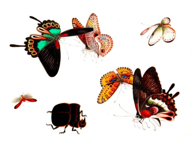 Vous ne savez pas ce que vous demandez