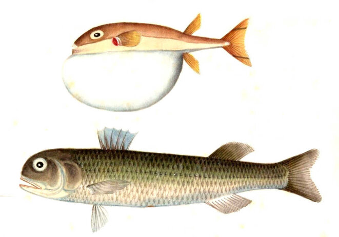 Livré aux bourreaux