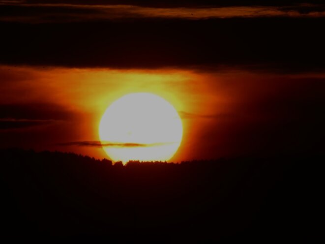 En attendant le Cessez-le-feu