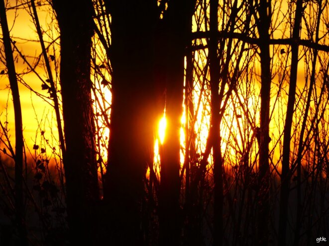 Il est pas mort, le soleil