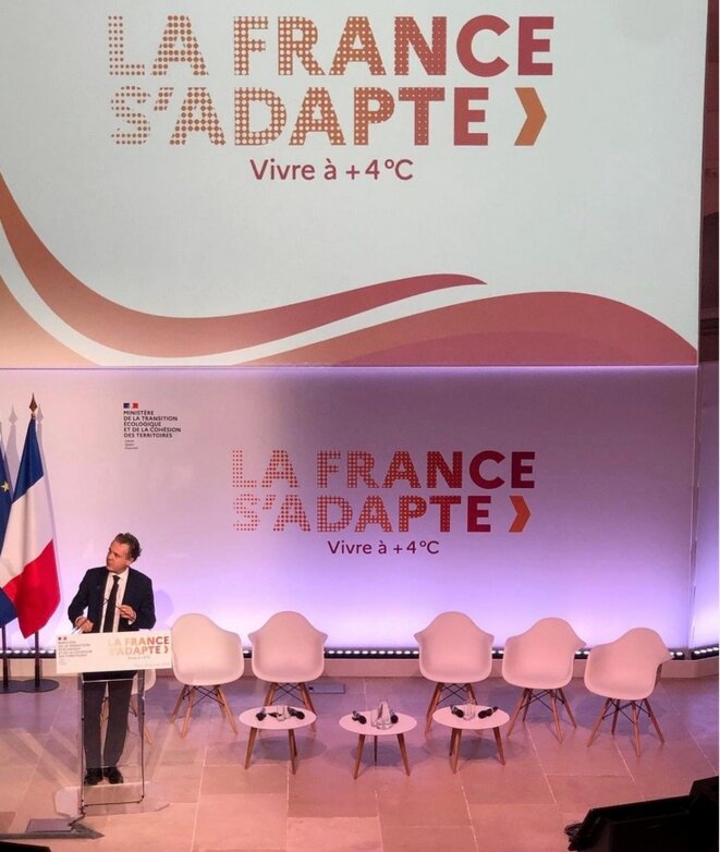 Comme des grenouilles