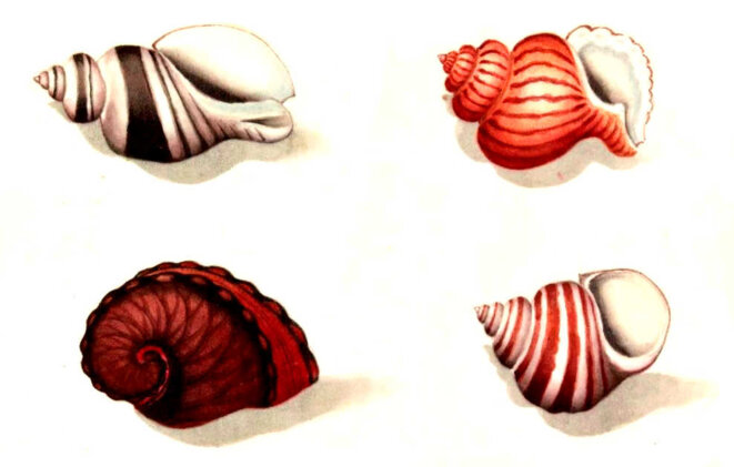 En partant de Jérusalem