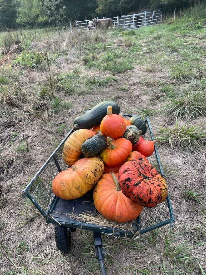 Agriculteurs en colère: un Mai-68 en janvier 24?