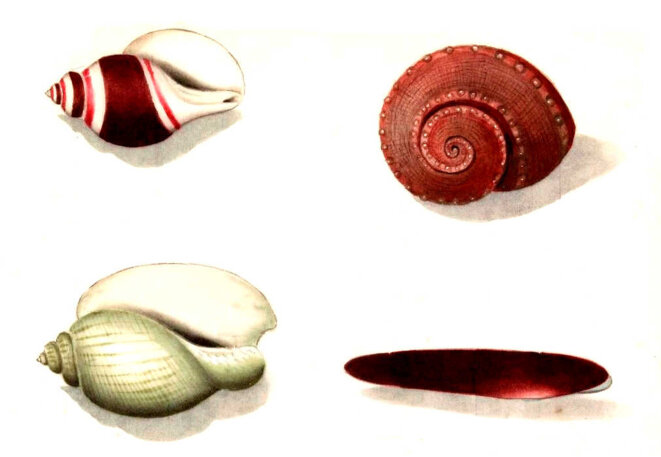 Avoir vie éternelle