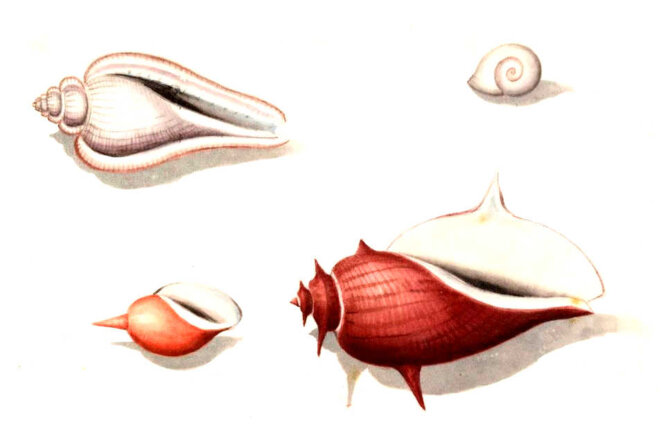 Les enfants du bon Dieu