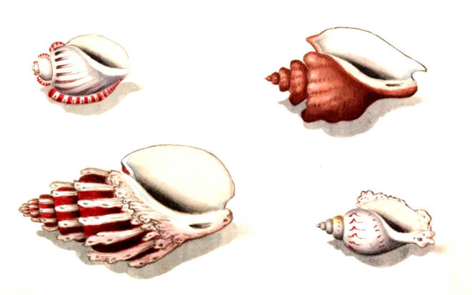 L'enlever de force !