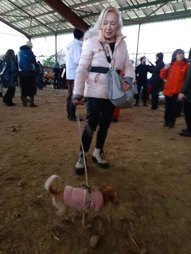 « Comme tout le monde, j'étais pour l'autoroute il y a trente ans »
