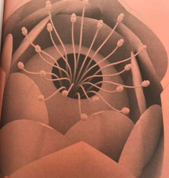 L'être humain, corps dans le monde