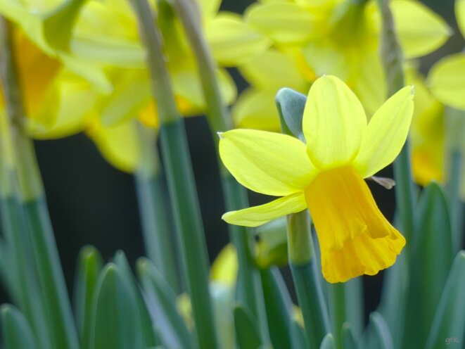 Du respect, juste du respect