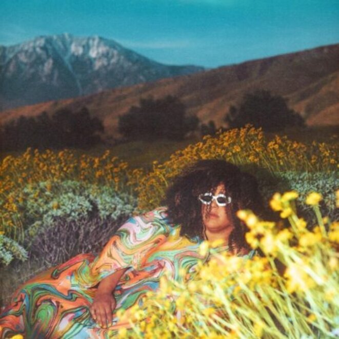 Brittany Howard [ What Now ]