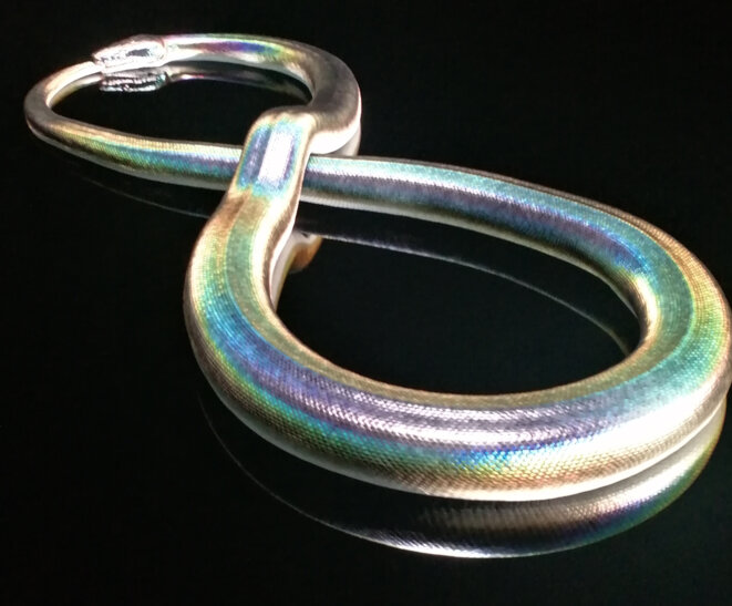 La lâcheté de notre oisiveté