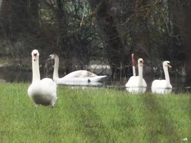 La guerre c’est semer la haine