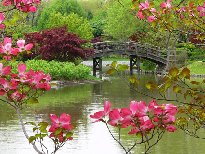 Seule la violence de la paix sociale, nous laissera en démocratie