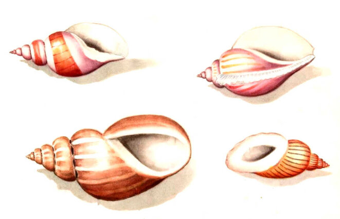 Quand l'heure est venue